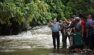 al haris saat panen ikan al haris saat panen ikan