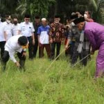 al haris sedekah payo
