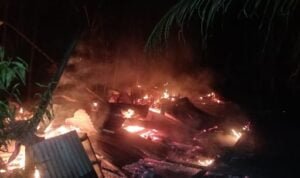 Kebakaran di Senyerang Kebakaran di Senyerang