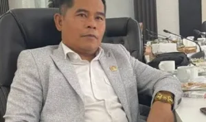 fadli fadli