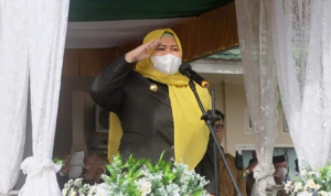 masnah hab masnah hab