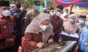 masnah suak masnah suak