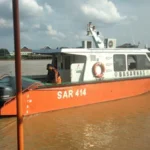 sars