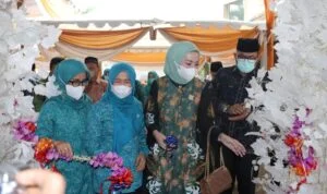 tp pkk tp pkk
