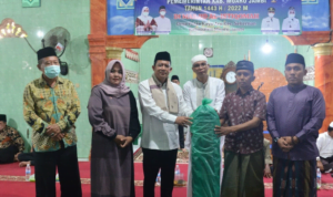 bbs safari bbs safari