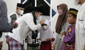 edi safari 2 edi safari 2