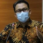 ali fikri