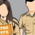 ilustrasi pppk