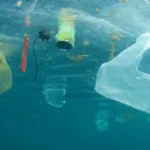 sampah plastik