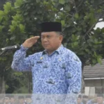 sekda hkn