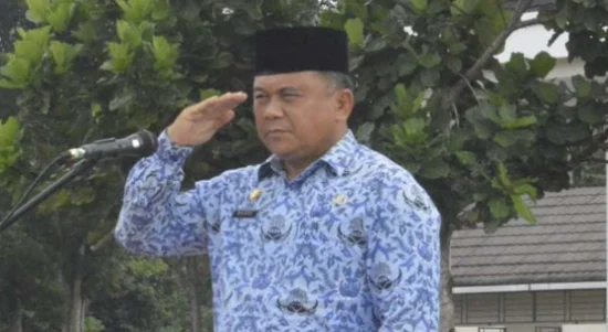 sekda hkn