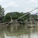 tangkul