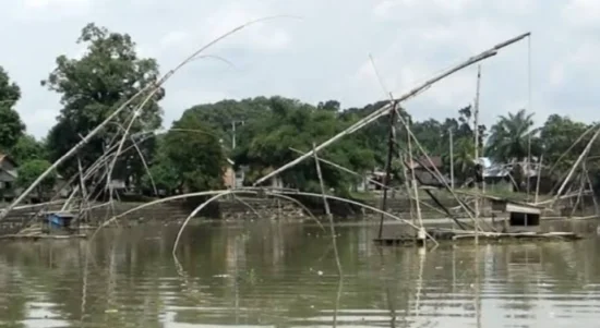 tangkul