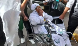 safari wukuf safari wukuf