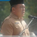 sekda apel