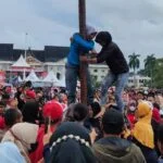 panjat [pinang
