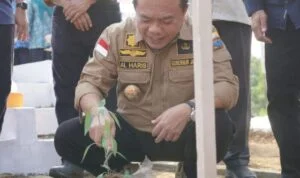 al haris tanam cabe al haris tanam cabe