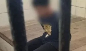kesal kesal