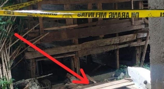 septic tank septic tank