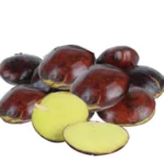 jengkol