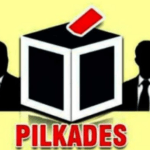 pilkades