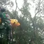 heli tni