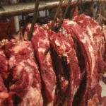 daging sapi