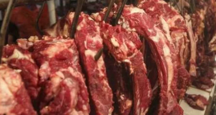 daging sapi