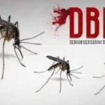 dbd