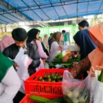 pasr murah