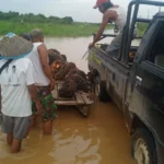 petani sawit