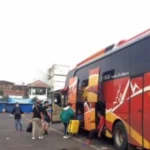 bus