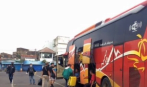 bus