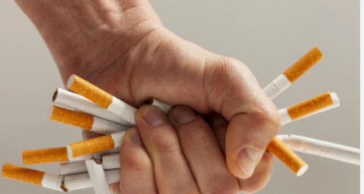 rokok