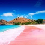 pantai pink