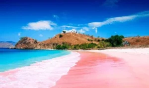 pantai pink pantai pink