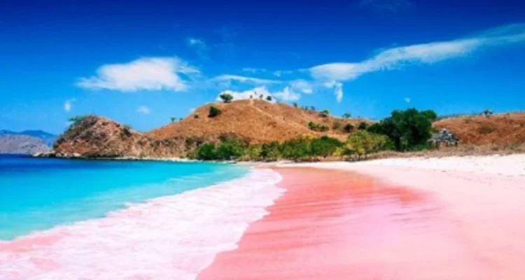 pantai pink