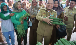 al haris sayur al haris sayur