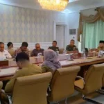 haris sukses