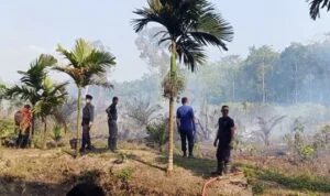 kebakarann