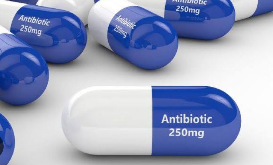 Screenshot_20231129_150832_Google