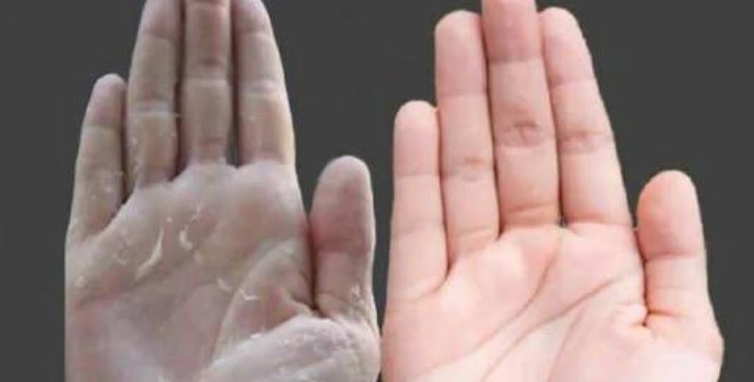 Screenshot_20231215_192844_Google