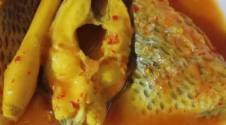 Screenshot_20240216_195854_Google