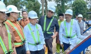 haris letak haris letak