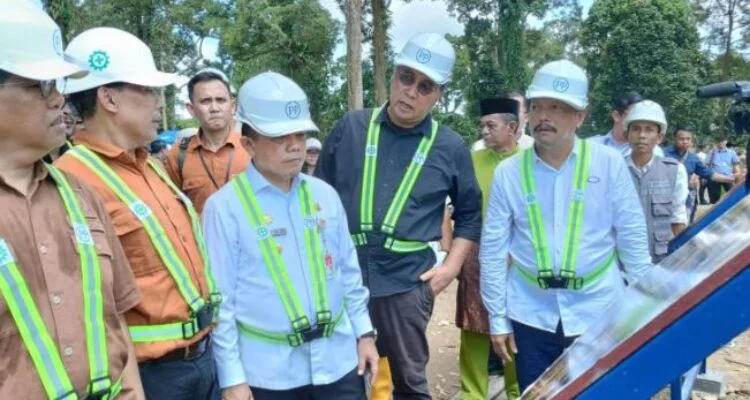 haris letak