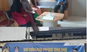 ppdbb